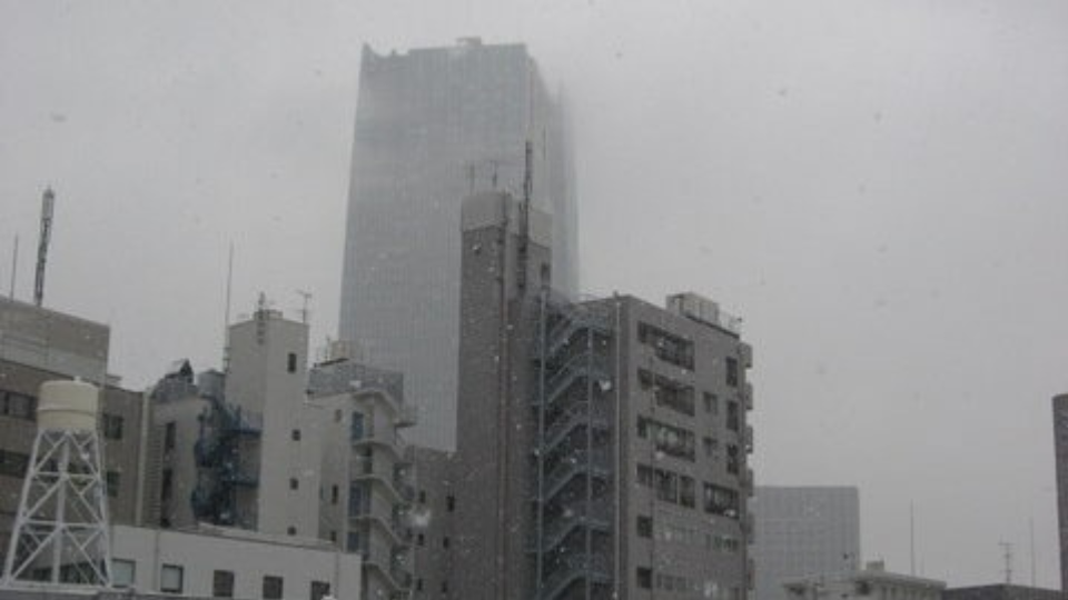 またまた雪景色　東京