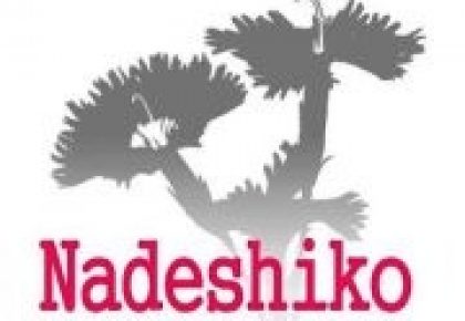 第1回 Nadeshiko Ventures Summit｢Spark!｣登壇