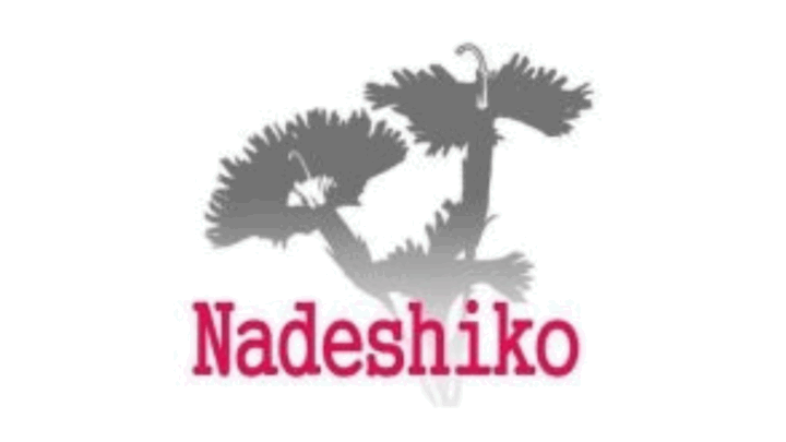 第1回 Nadeshiko Ventures Summit｢Spark!｣登壇