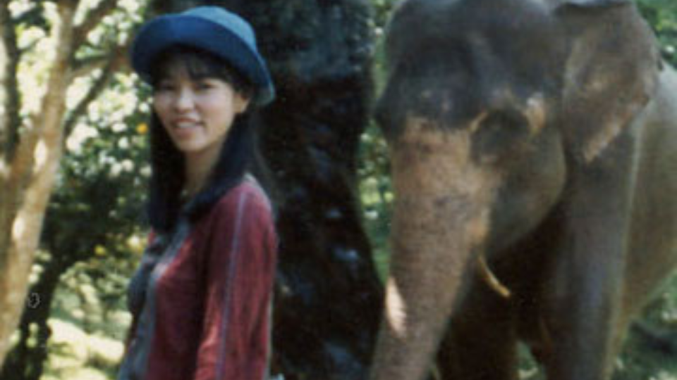 Facebookのタイムラインと私の足跡