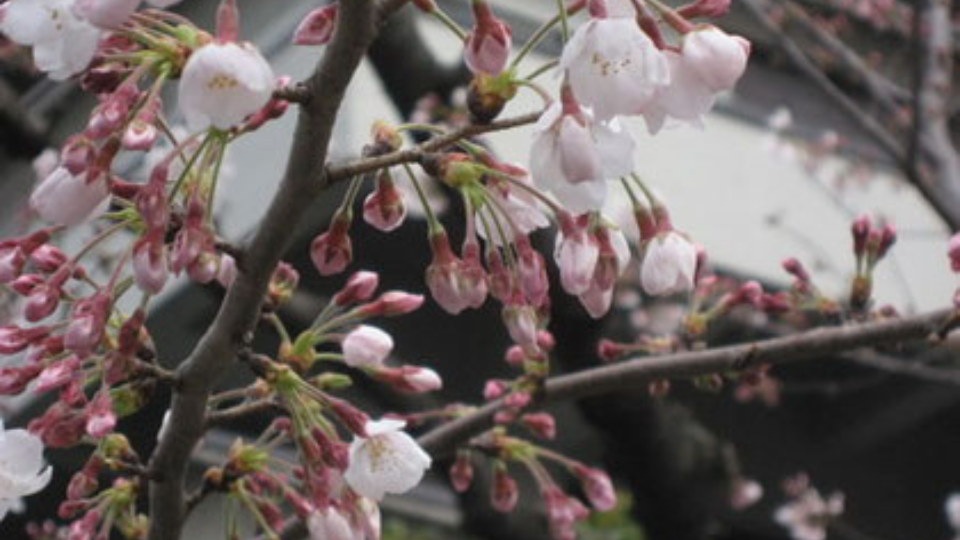 受験二日目(娘への手紙 2日目)