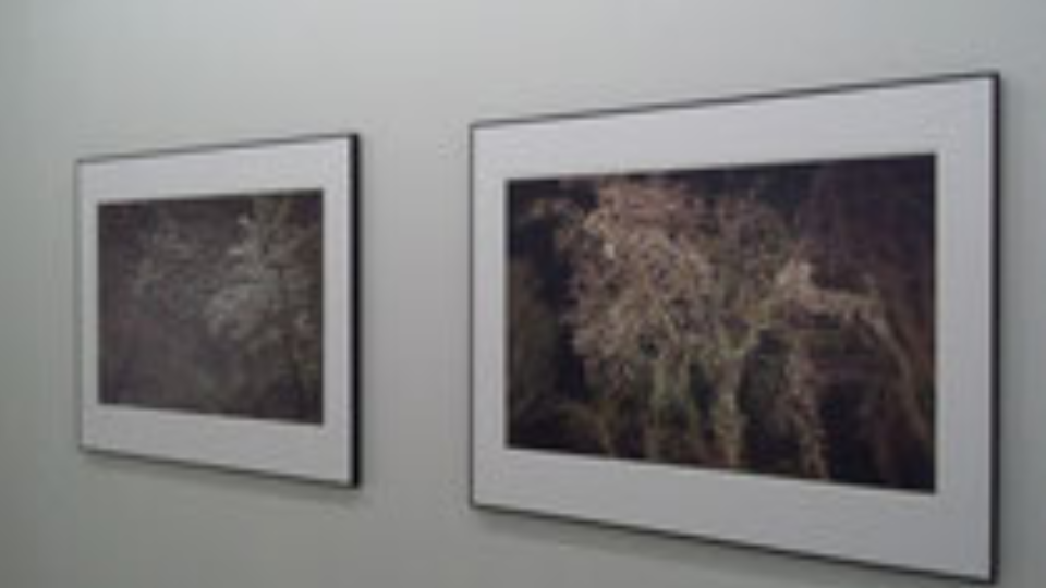 飯山満氏展覧会　妖艶な世界