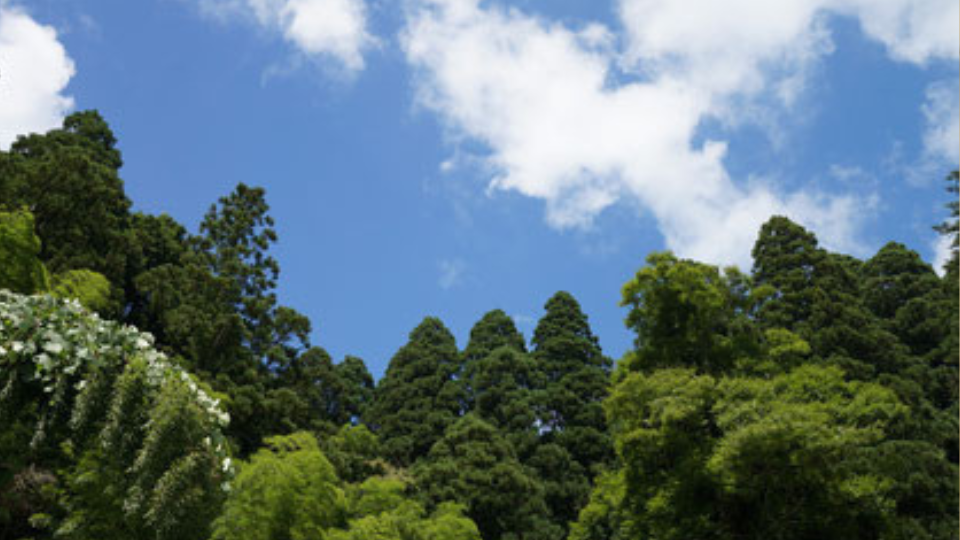 新しいワークスタイル