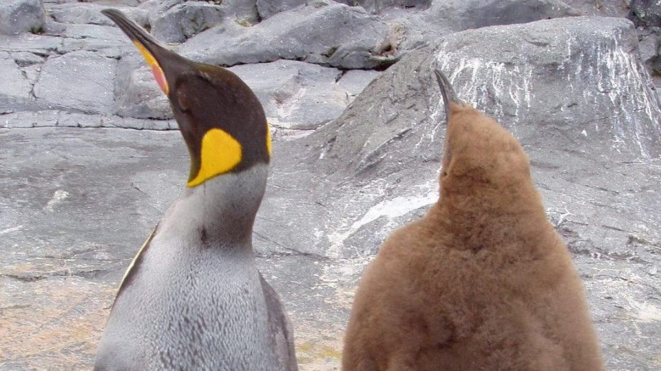 子供を他人に託す時間は他人に対する感謝を育む時間