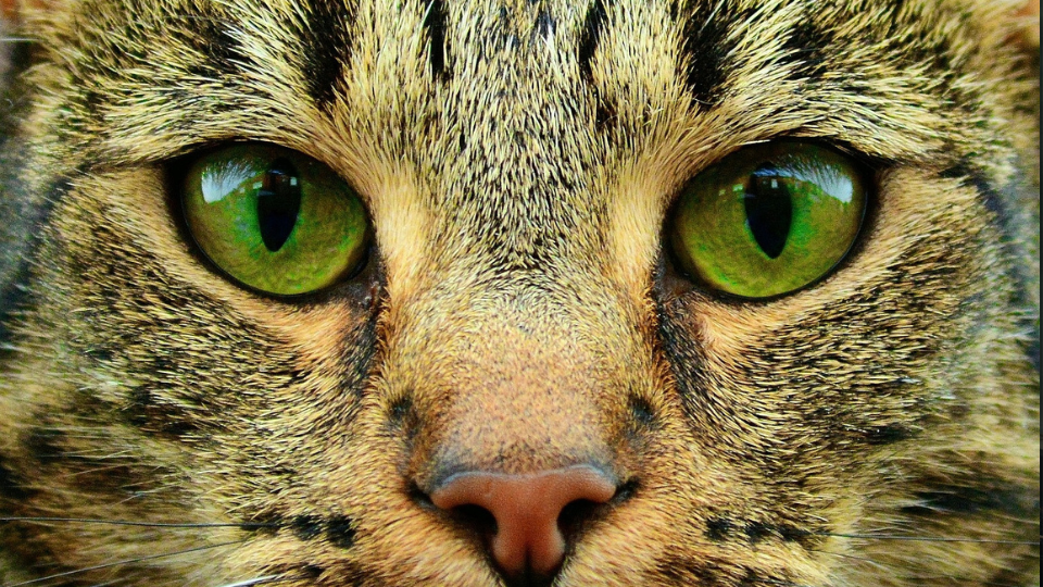 Facebookの最大の「利点」は距離をおかれること